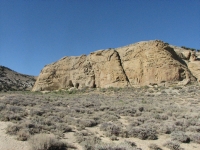 White Mountain Petroglyph Site